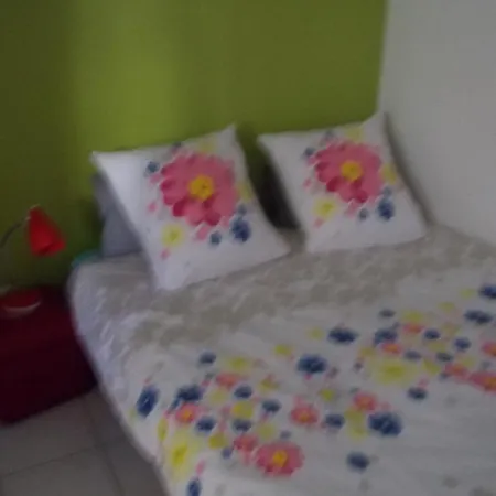 Centre Le Saint Pierre Apartment *